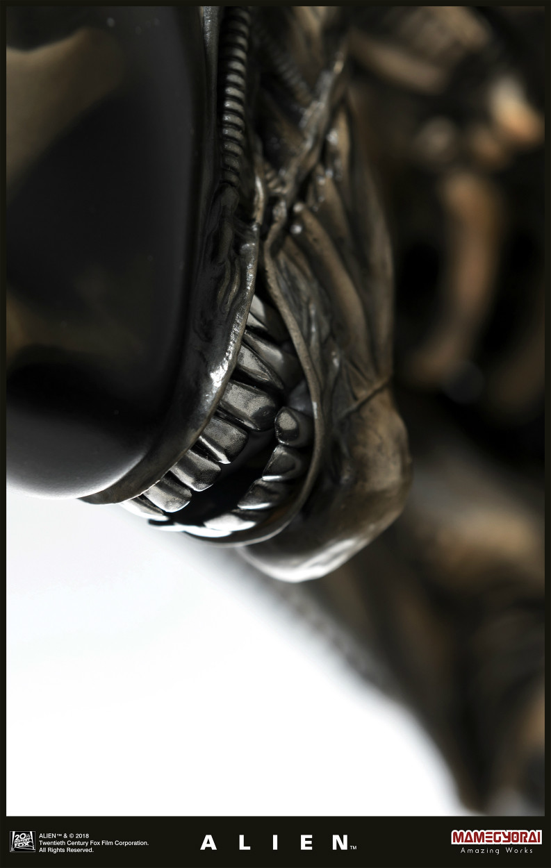 Alien - 1/3 (Mamegyorai) photo 25