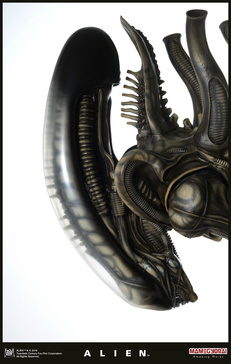 Alien - 1/3 (Mamegyorai) photo 26