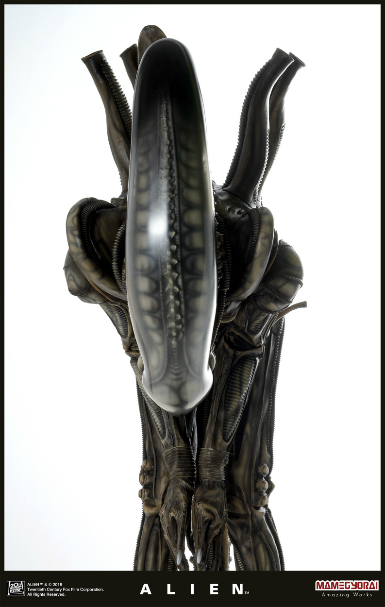 Alien - 1/3 (Mamegyorai) photo 28