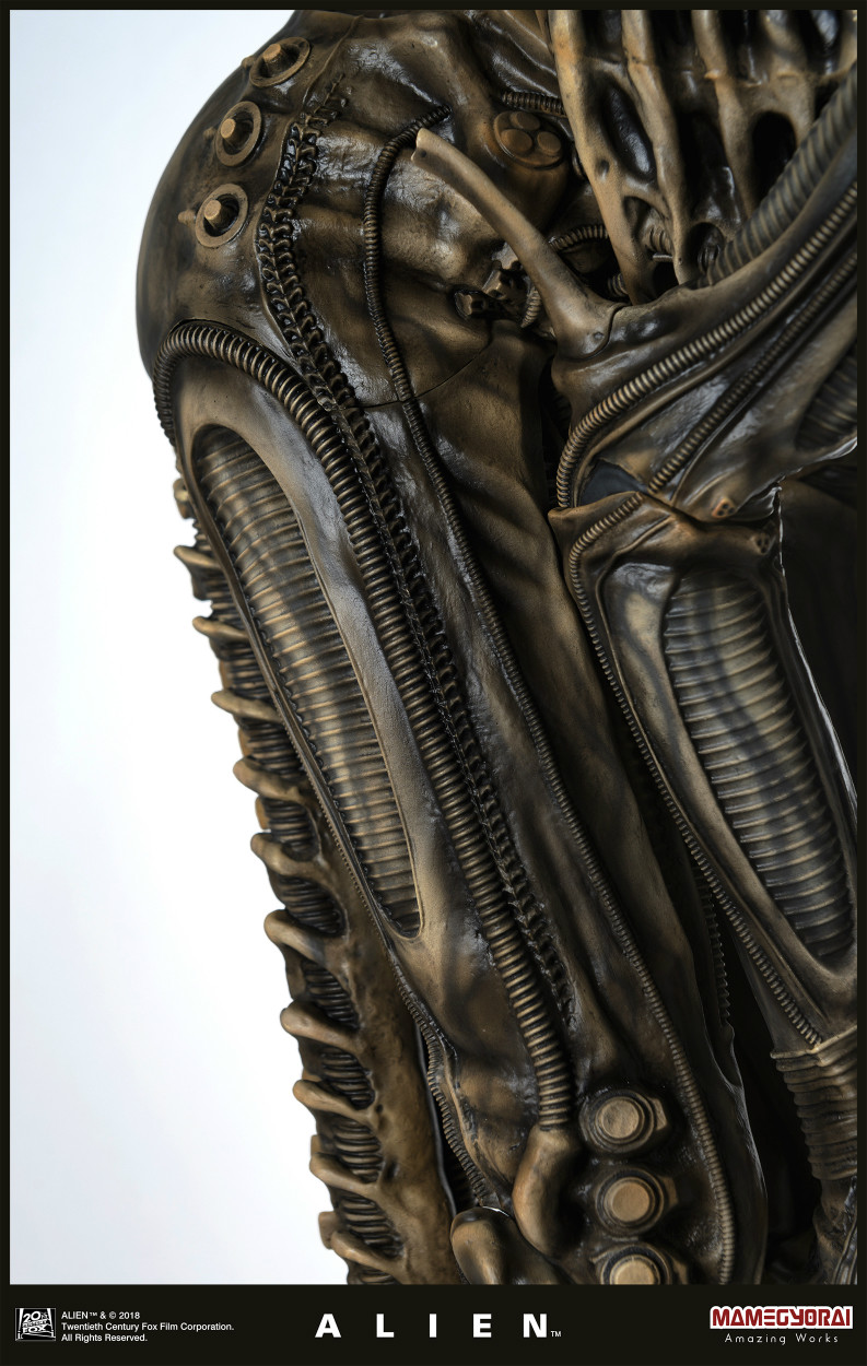 Alien - 1/3 (Mamegyorai) photo 32
