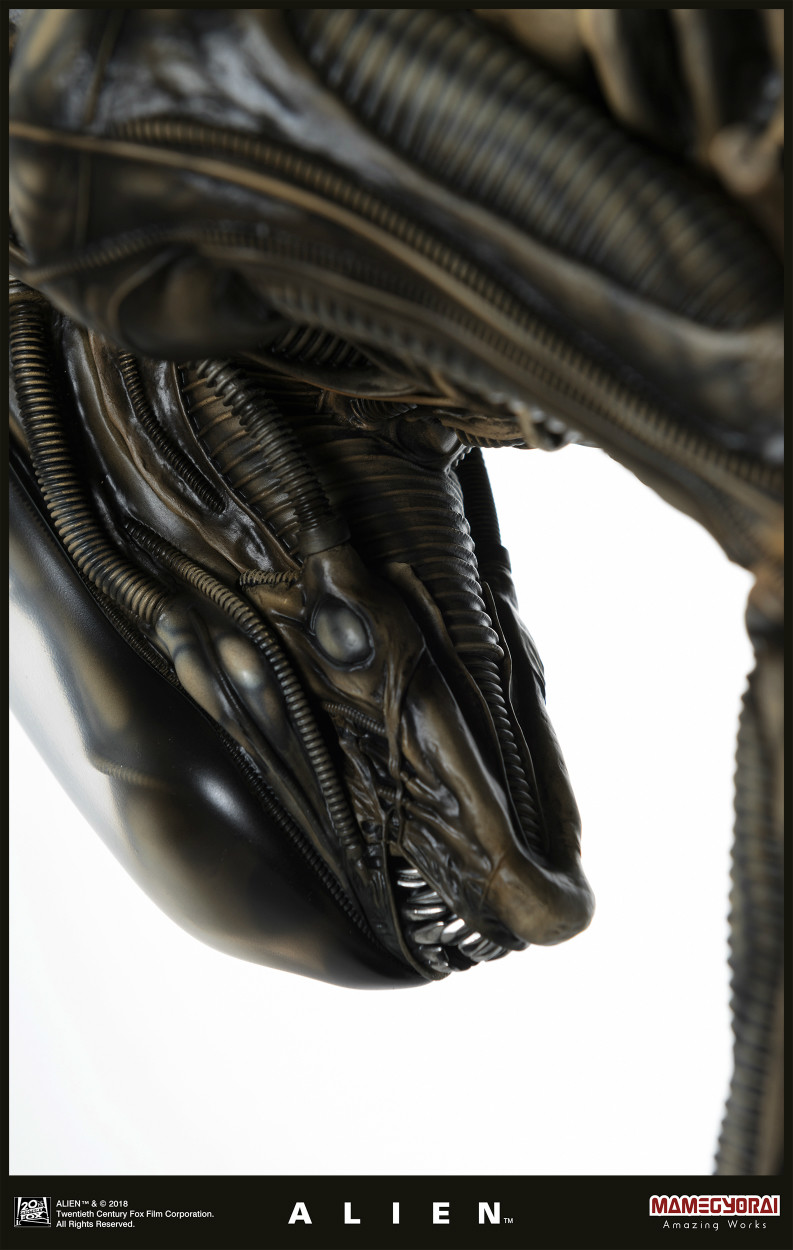 Alien - 1/3 (Mamegyorai) photo 40