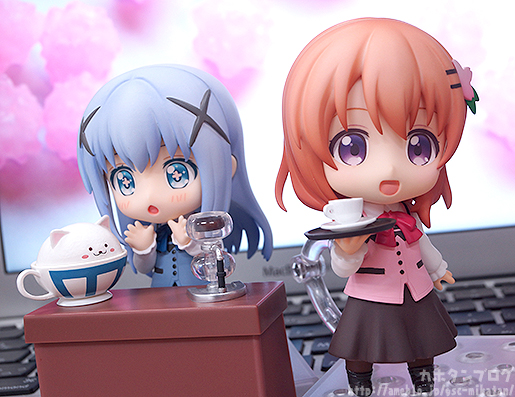 Hoto Kokoa,Tippy