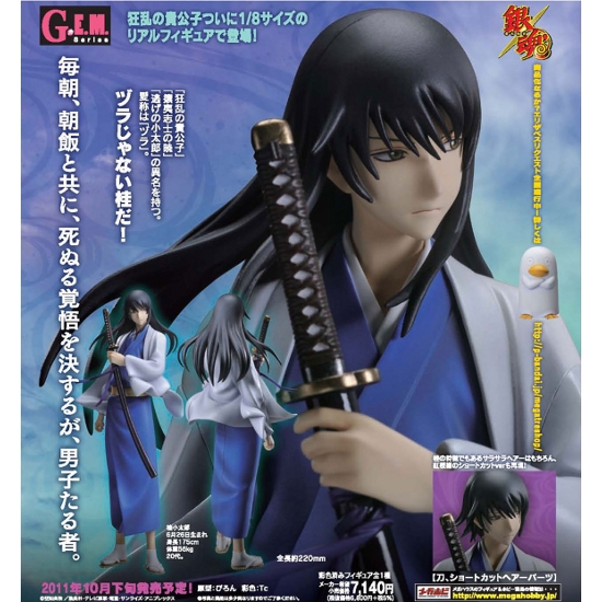 Gintama - Katsura Kotarou - G.E.M. - 1/8 (MegaHouse) photo 7