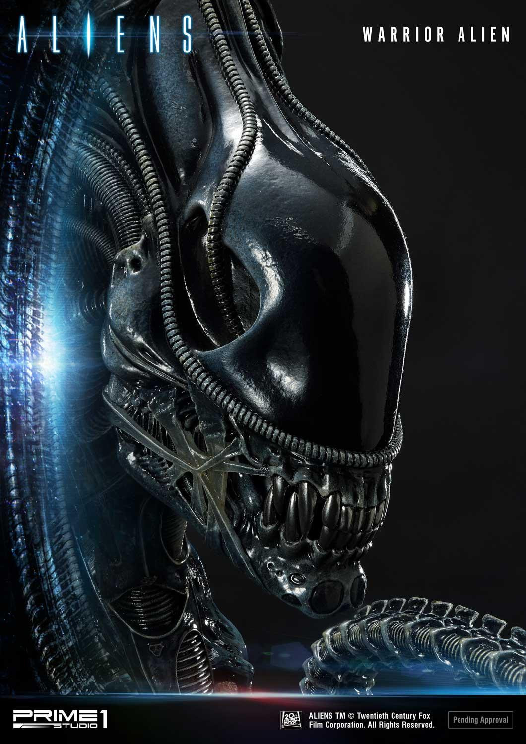 Aliens (Comics) - Alien Warrior - Facehugger - Premium Masterline  (PMDHAL-02) (Prime 1 Studio) photo 4
