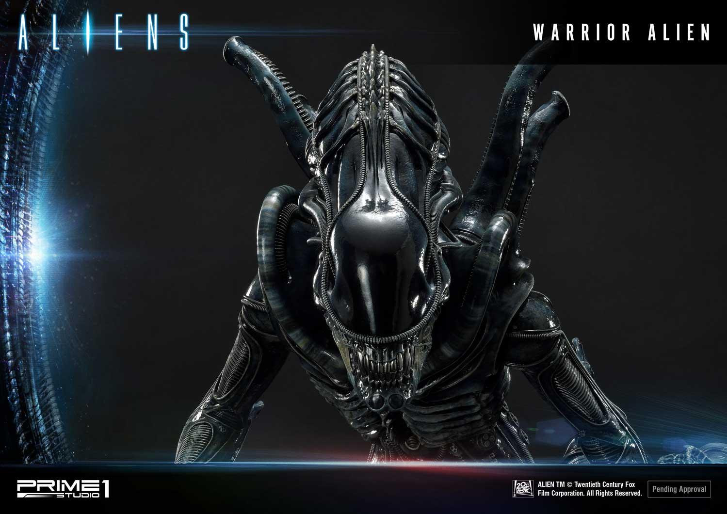 Aliens (Comics) - Alien Warrior - Facehugger - Premium Masterline  (PMDHAL-02) (Prime 1 Studio) photo 10