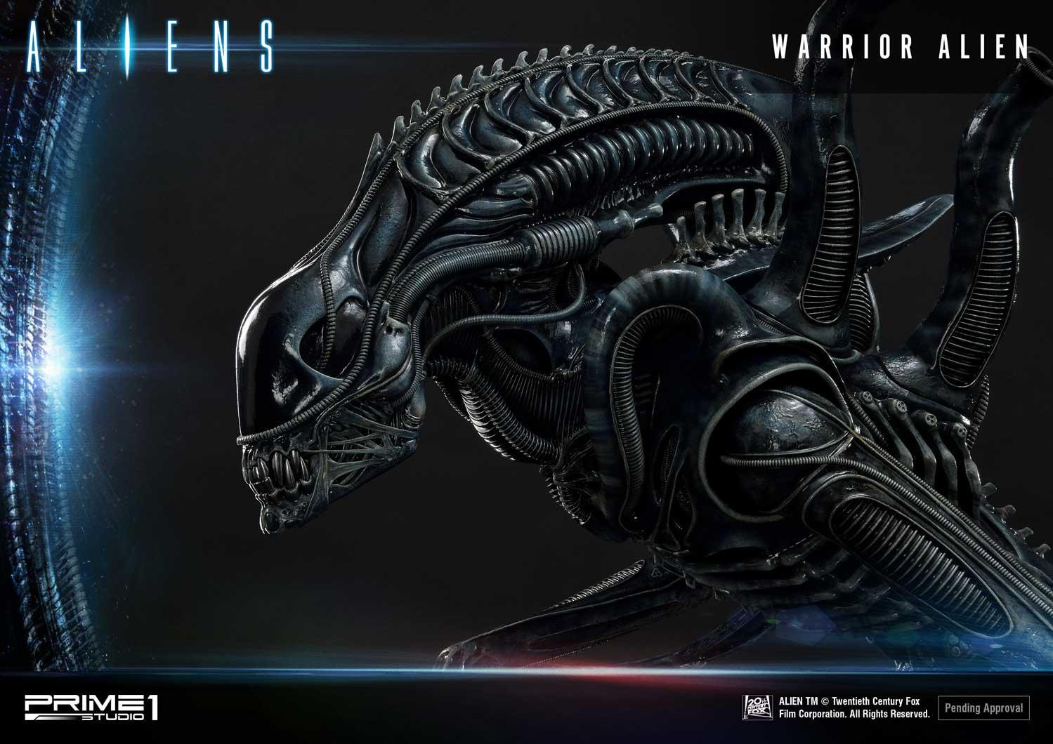 Aliens (Comics) - Alien Warrior - Facehugger - Premium Masterline  (PMDHAL-02) (Prime 1 Studio) photo 11