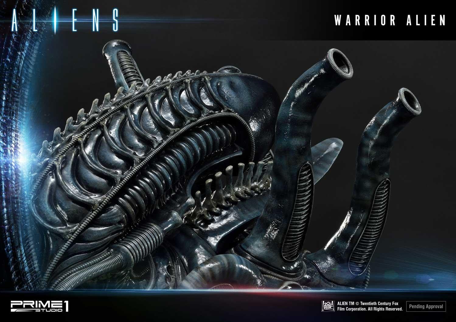 Aliens (Comics) - Alien Warrior - Facehugger - Premium Masterline  (PMDHAL-02) (Prime 1 Studio) photo 24