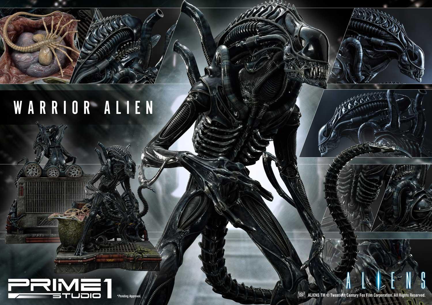 Aliens (Comics) - Alien Warrior - Facehugger - Premium Masterline  (PMDHAL-02) (Prime 1 Studio) photo 26