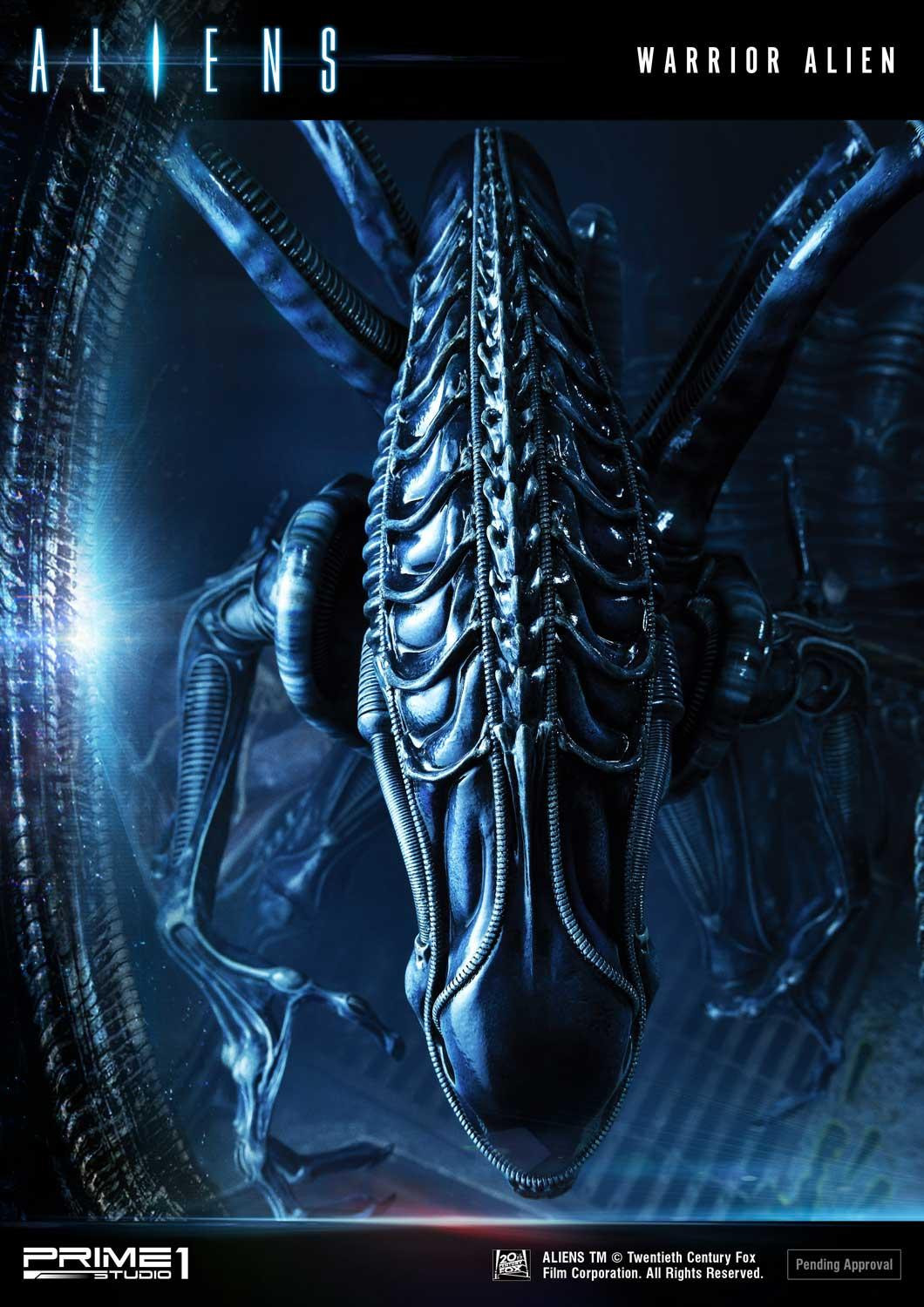 Aliens (Comics) - Alien Warrior - Facehugger - Premium Masterline  (PMDHAL-02) (Prime 1 Studio) photo 28