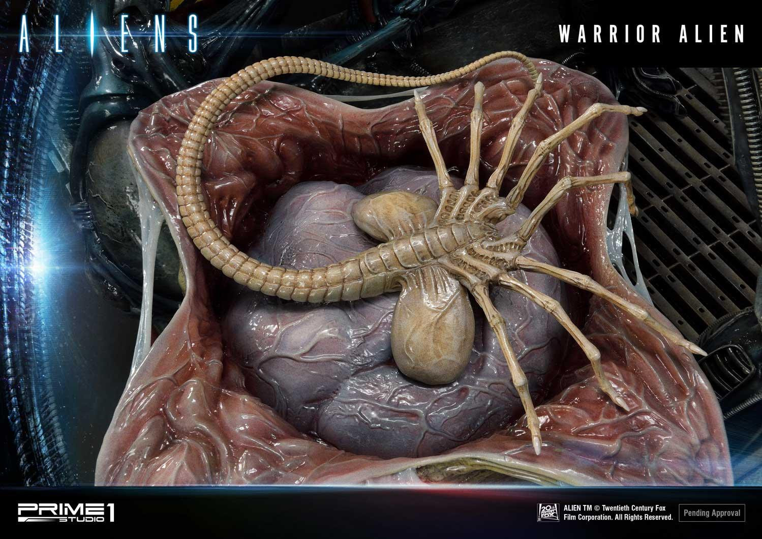 Aliens (Comics) - Alien Warrior - Facehugger - Premium Masterline  (PMDHAL-02) (Prime 1 Studio) photo 39