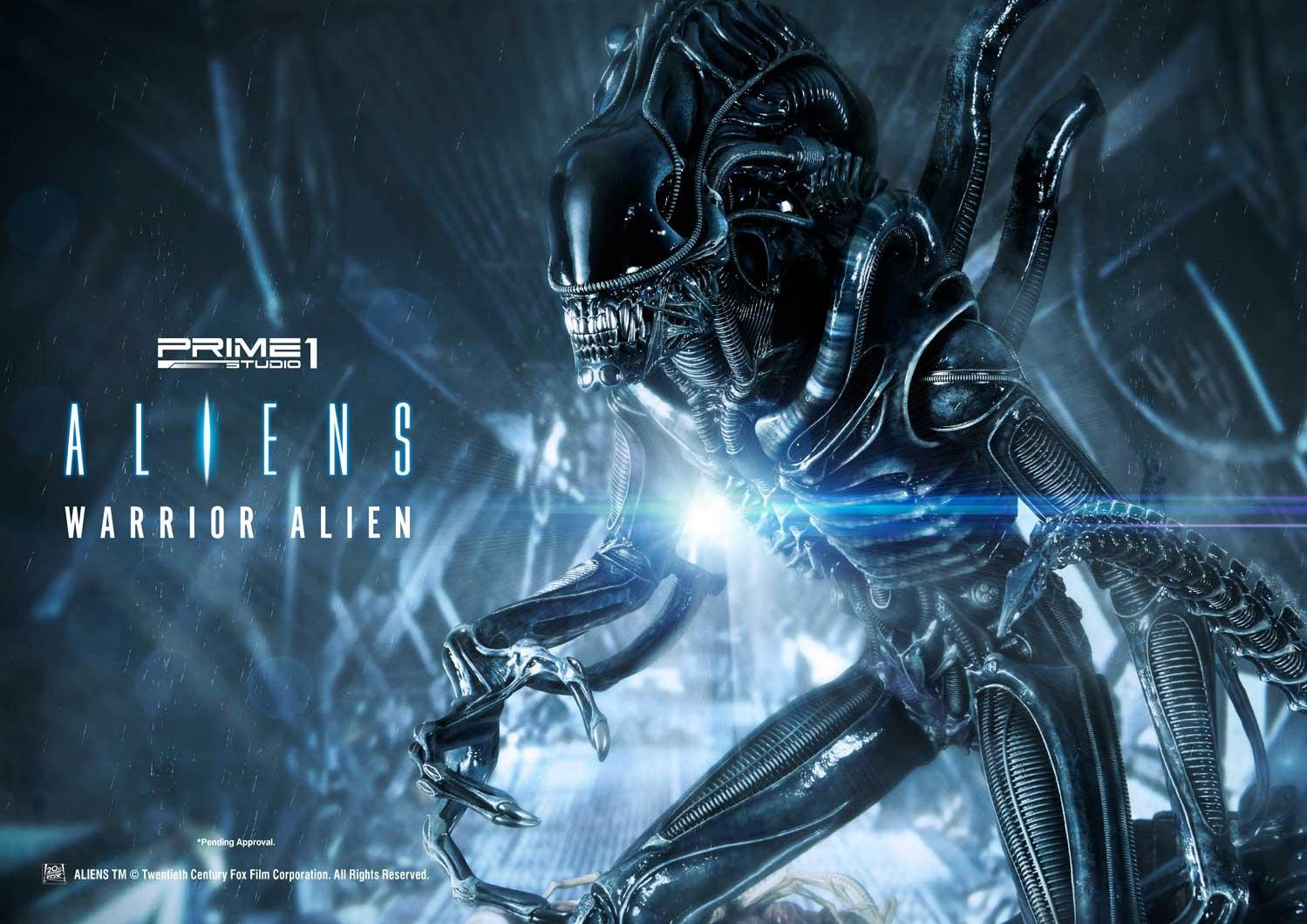 Aliens (Comics) - Alien Warrior - Facehugger - Premium Masterline  (PMDHAL-02) (Prime 1 Studio) photo 40