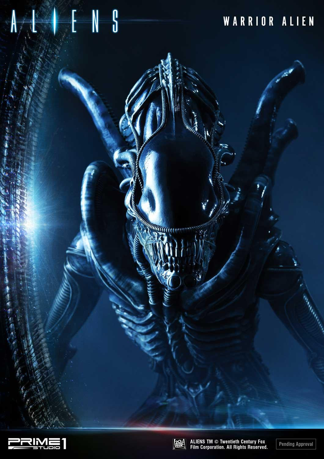 Aliens (Comics) - Alien Warrior - Facehugger - Premium Masterline  (PMDHAL-02) (Prime 1 Studio) photo 43