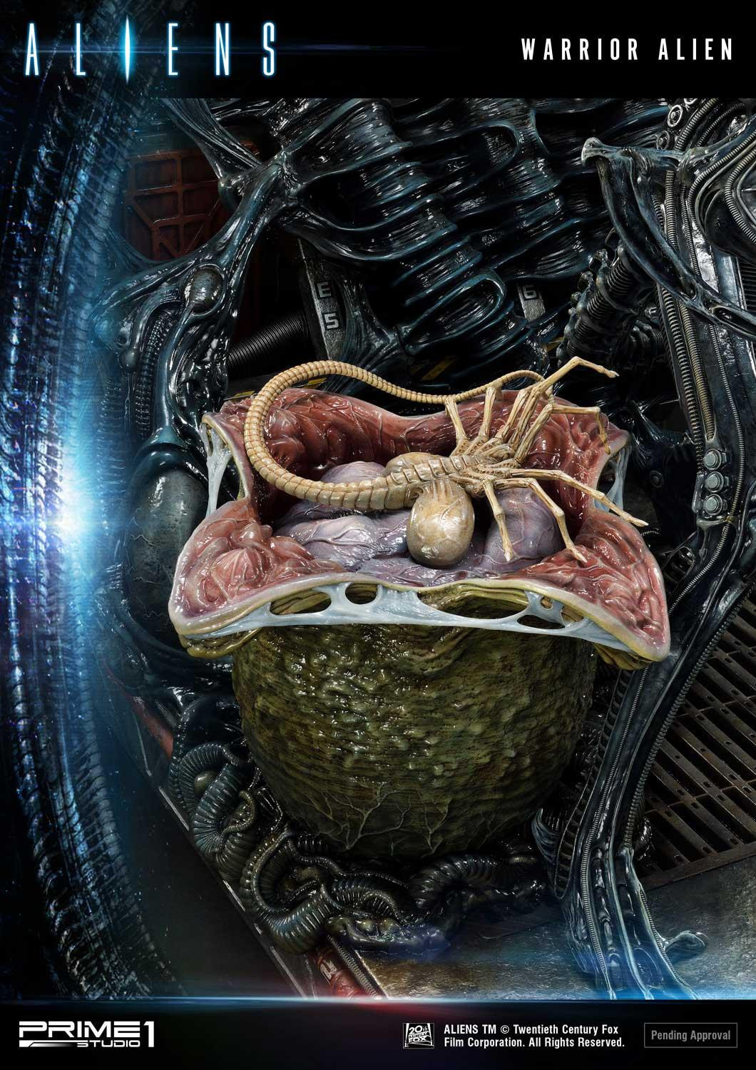 Aliens (Comics) - Alien Warrior - Facehugger - Premium Masterline  (PMDHAL-02) (Prime 1 Studio) photo 47