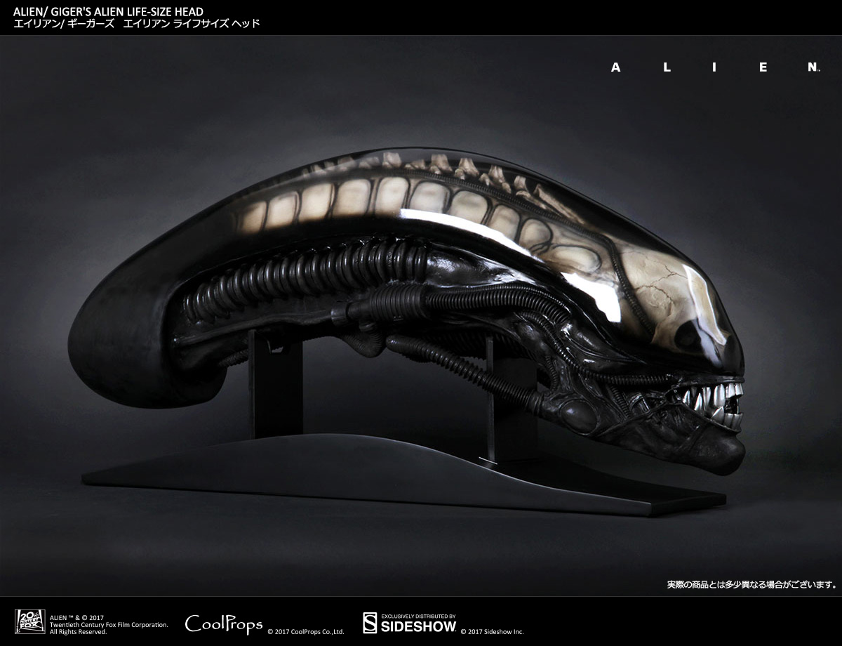 Alien - Bust - Prop Replica - 1/1 (CoolProps, Sideshow Collectibles) photo 5