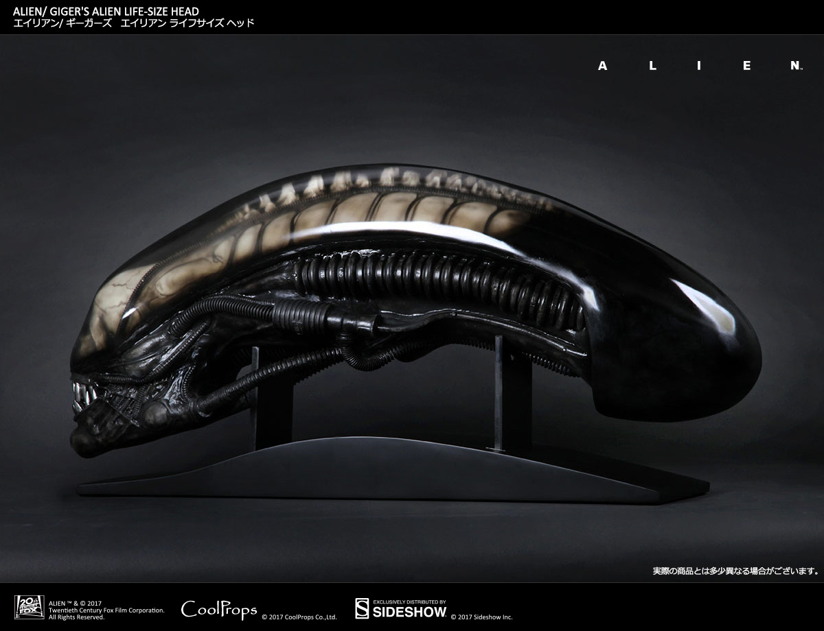 Alien - Bust - Prop Replica - 1/1 (CoolProps, Sideshow Collectibles) photo 9