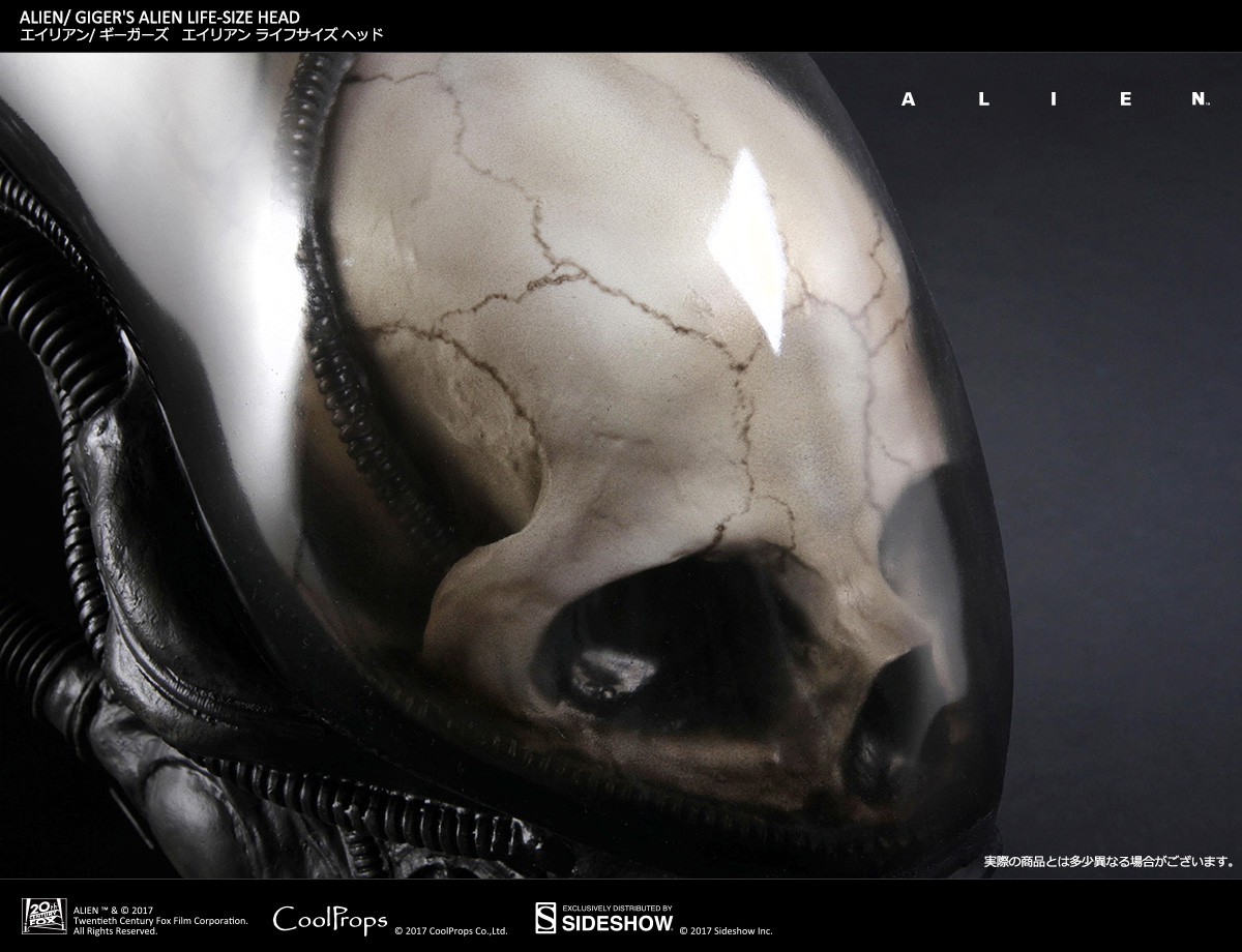 Alien - Bust - Prop Replica - 1/1 (CoolProps, Sideshow Collectibles) photo 10