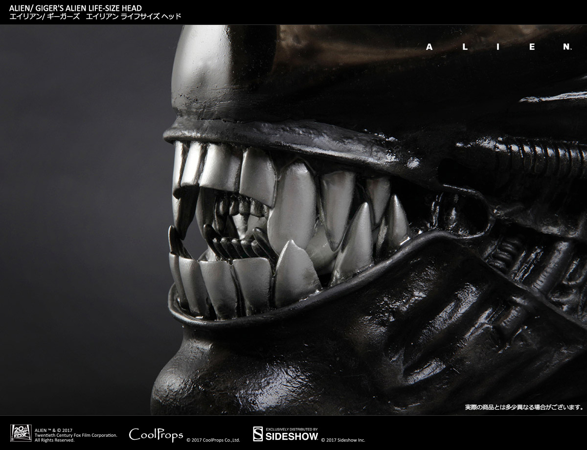 Alien - Bust - Prop Replica - 1/1 (CoolProps, Sideshow Collectibles) photo 11