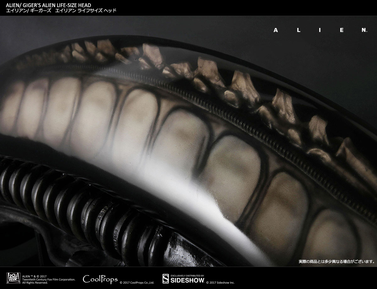 Alien - Bust - Prop Replica - 1/1 (CoolProps, Sideshow Collectibles) photo 12