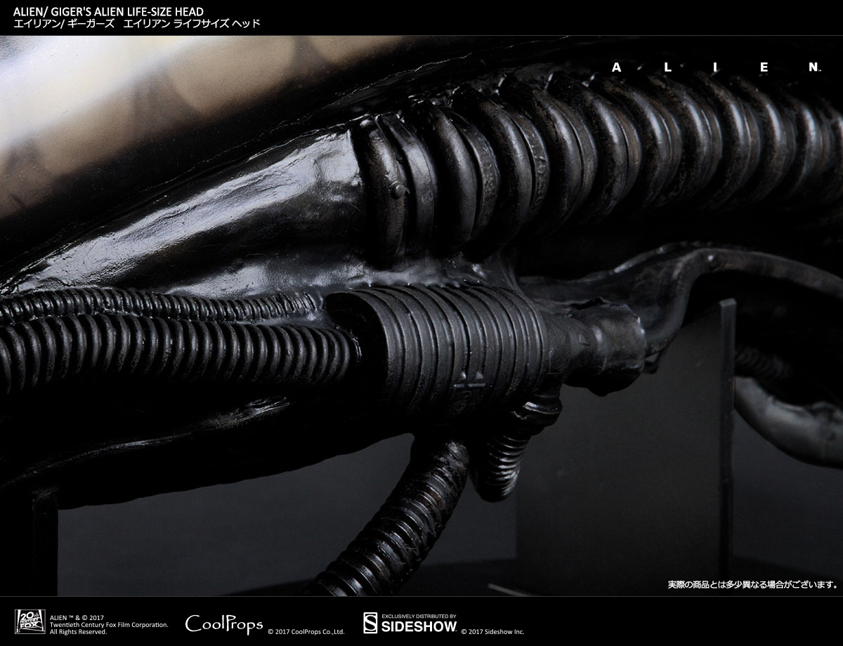 Alien - Bust - Prop Replica - 1/1 (CoolProps, Sideshow Collectibles) photo 13