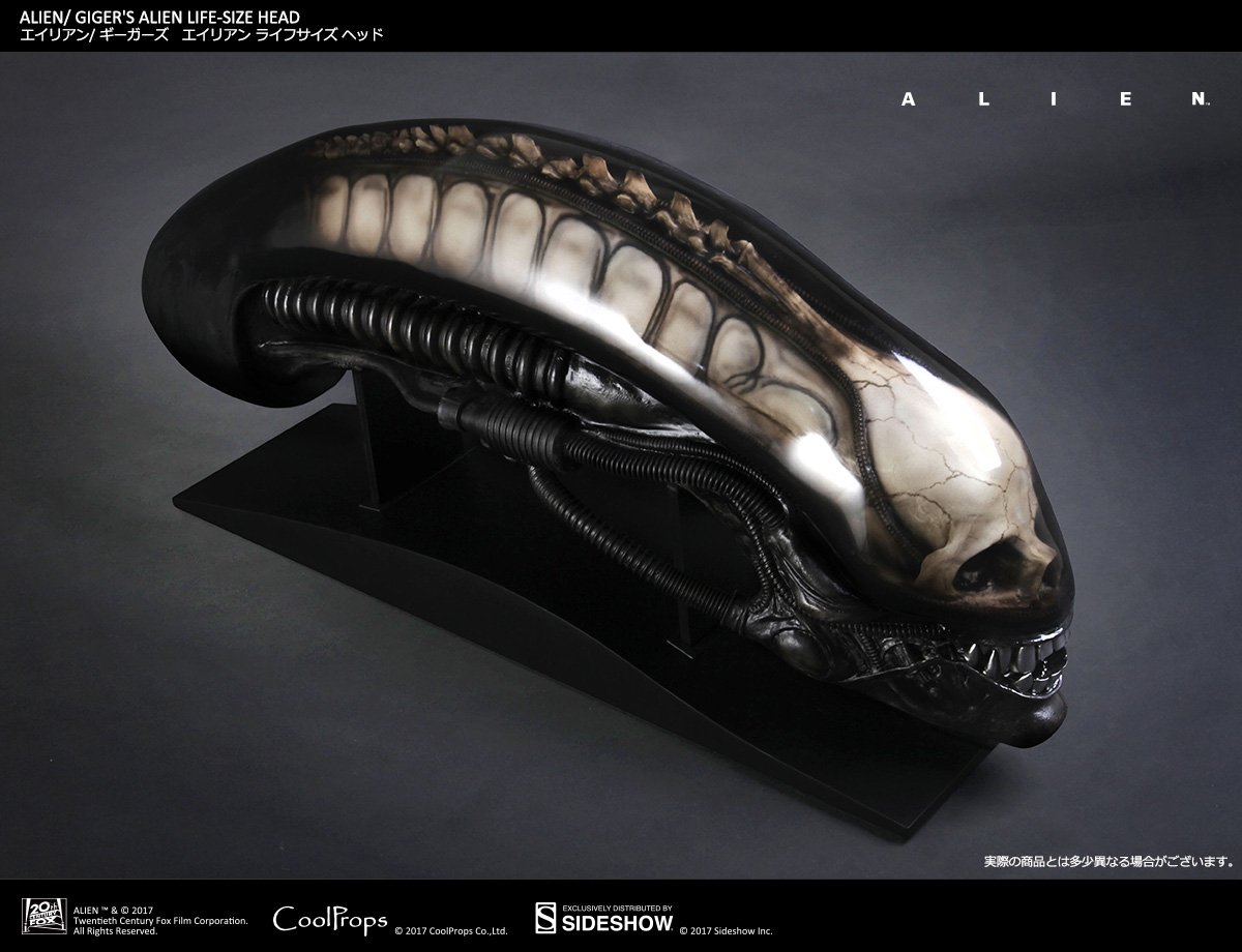 Alien - Bust - Prop Replica - 1/1 (CoolProps, Sideshow Collectibles) photo 14