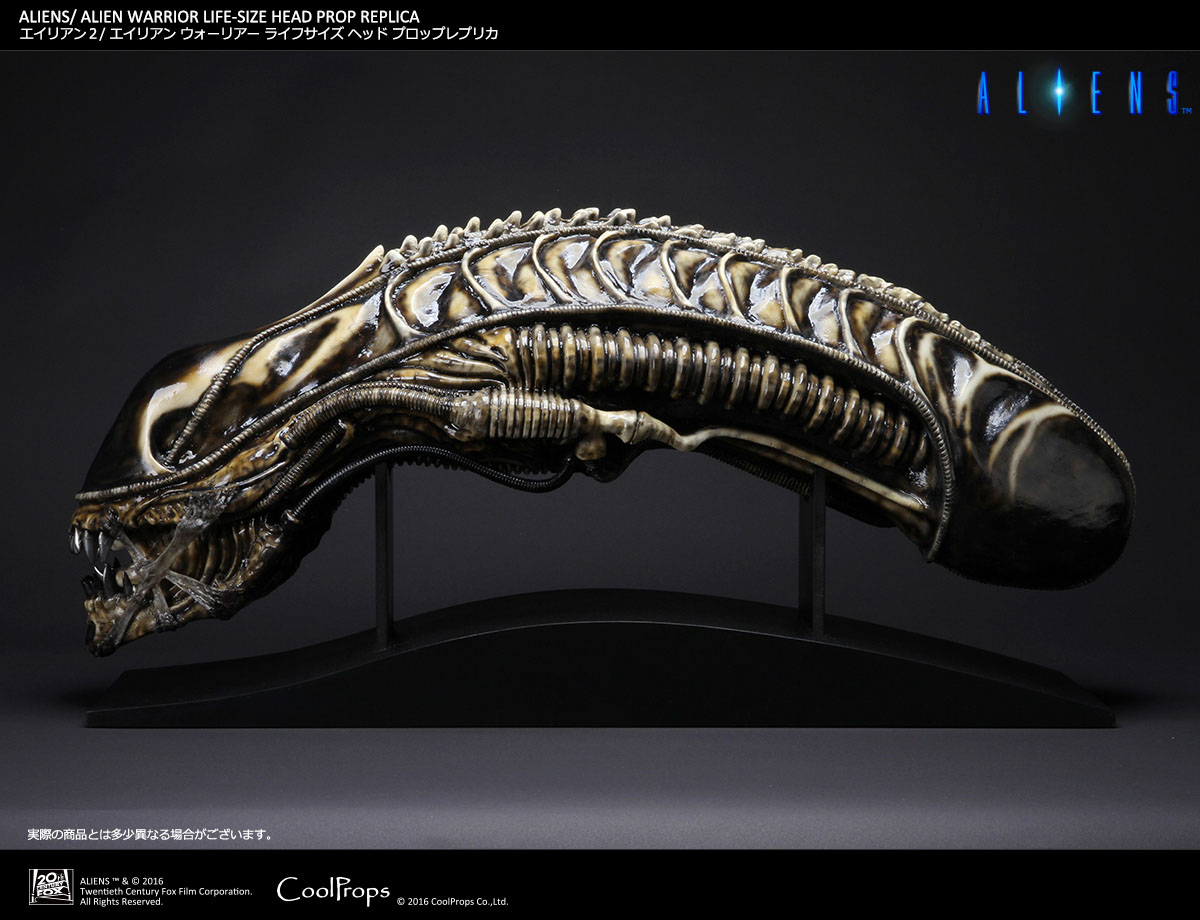 Aliens - Alien Warrior - Bust - Prop Replica - 1/1 (CoolProps) photo 2