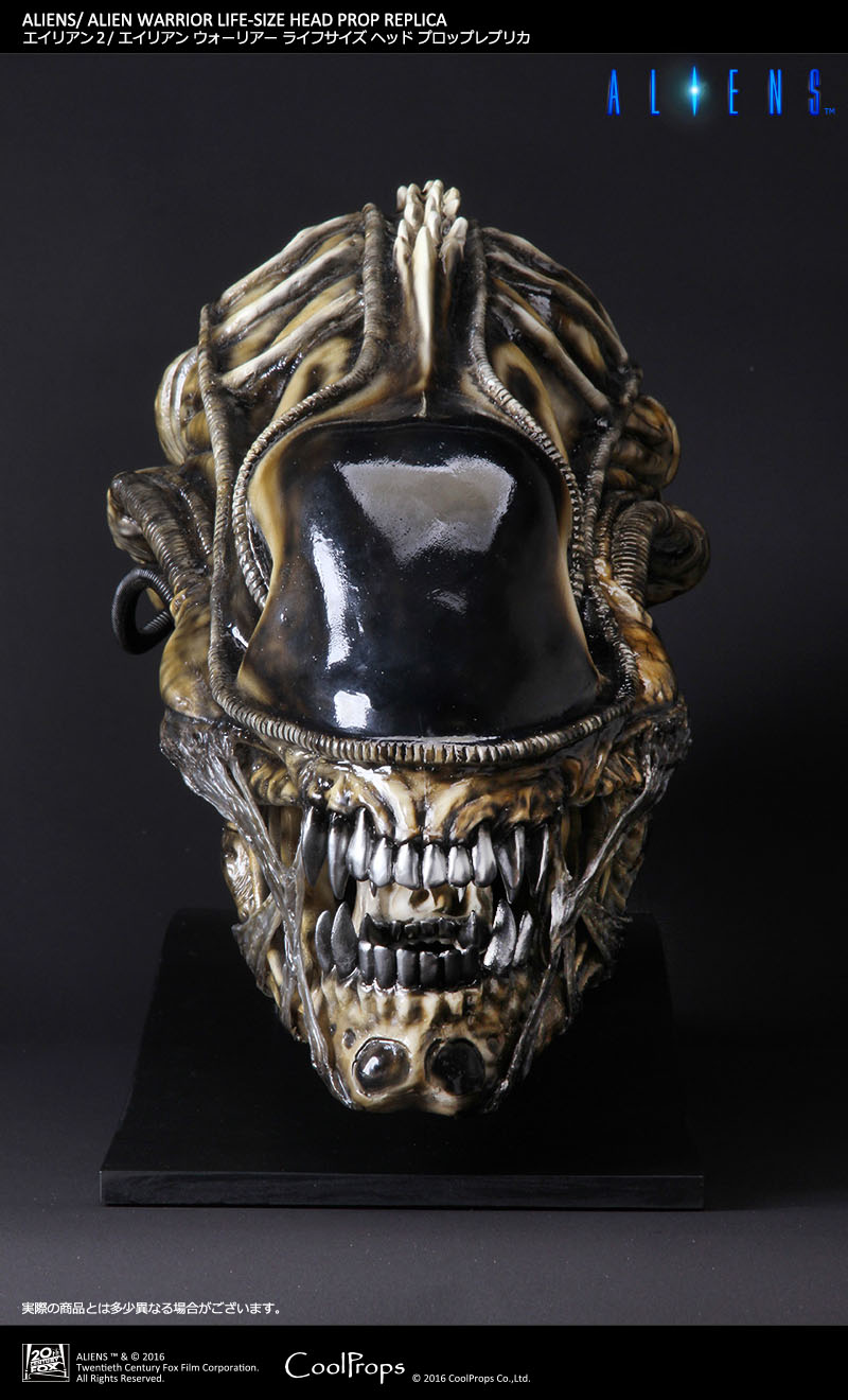 Aliens - Alien Warrior - Bust - Prop Replica - 1/1 (CoolProps) photo 3