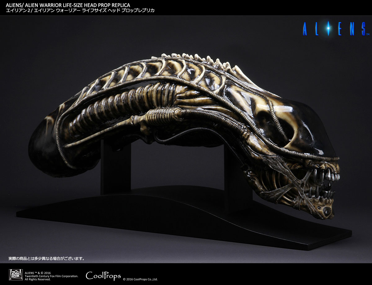 Aliens - Alien Warrior - Bust - Prop Replica - 1/1 (CoolProps) photo 4