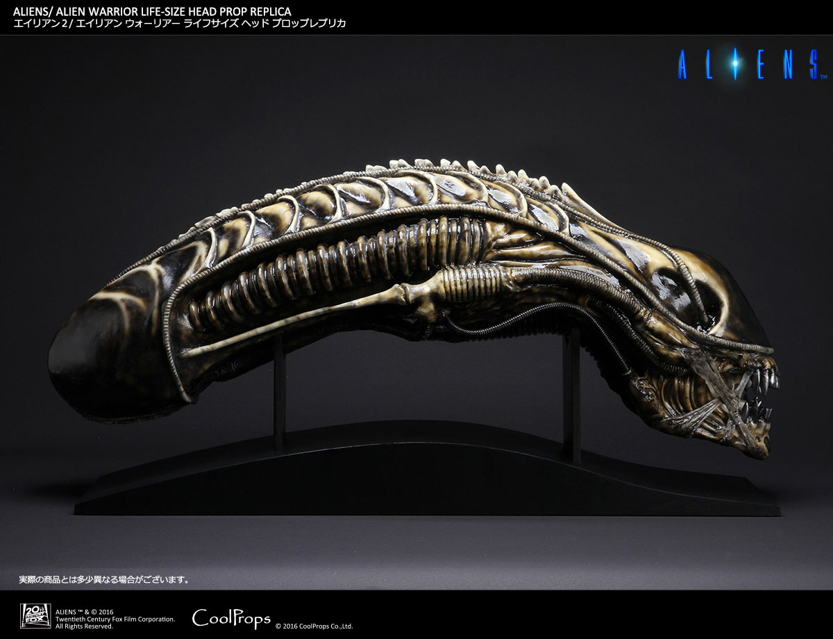 Aliens - Alien Warrior - Bust - Prop Replica - 1/1 (CoolProps) photo 5