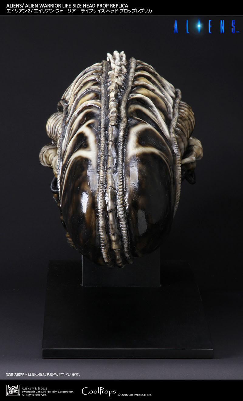 Aliens - Alien Warrior - Bust - Prop Replica - 1/1 (CoolProps) photo 7