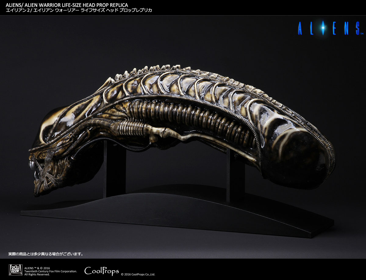 Aliens - Alien Warrior - Bust - Prop Replica - 1/1 (CoolProps) photo 8
