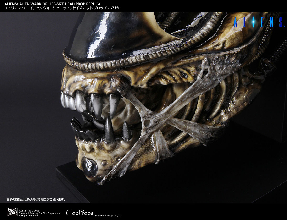 Aliens - Alien Warrior - Bust - Prop Replica - 1/1 (CoolProps) photo 9