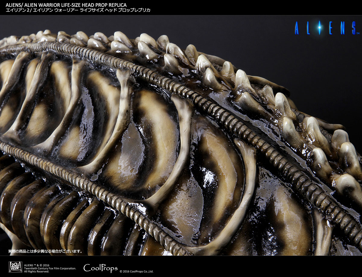 Aliens - Alien Warrior - Bust - Prop Replica - 1/1 (CoolProps) photo 10