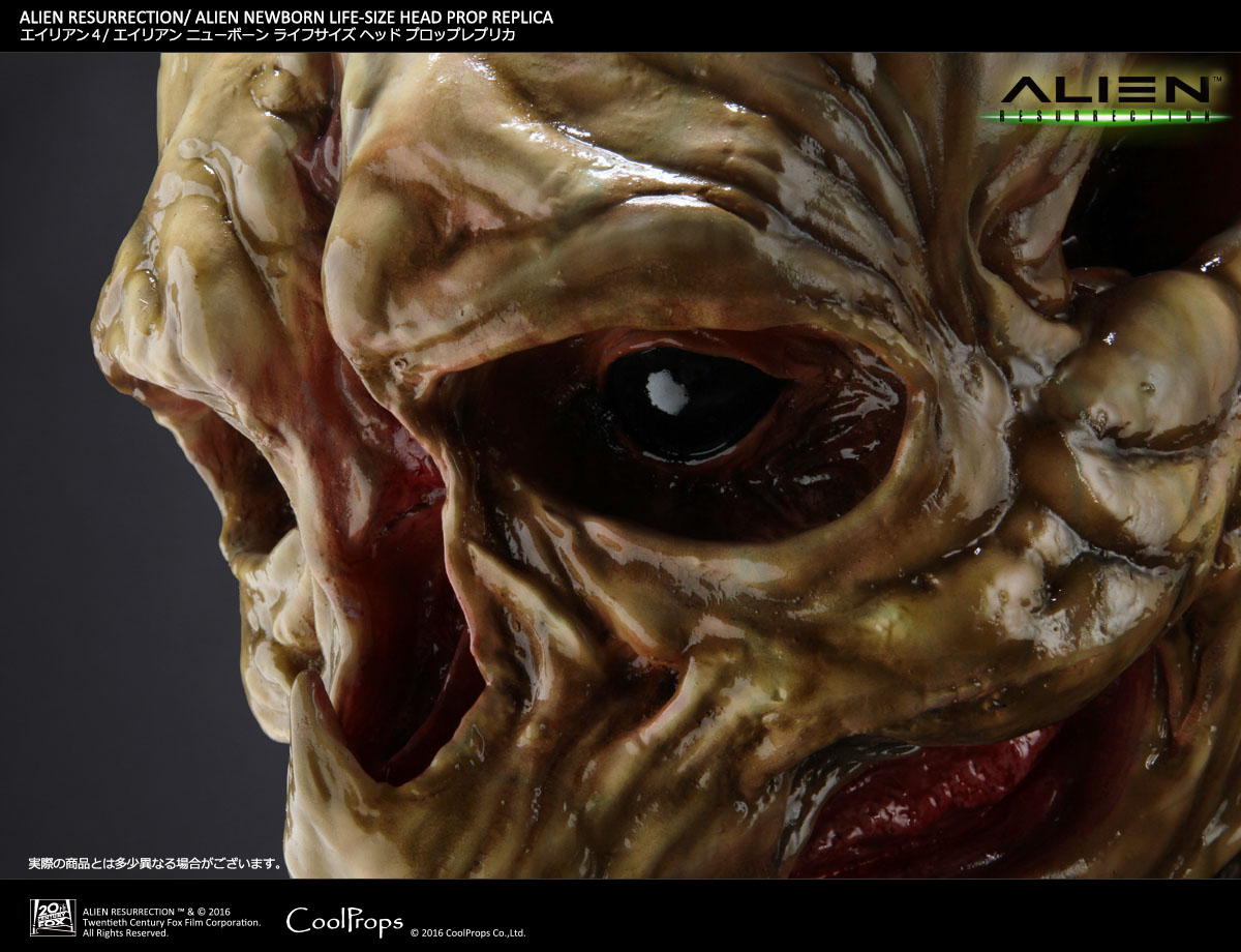 Alien: Resurrection - Alien Newborn - Bust - Prop Replica - 1/1 (CoolProps) photo 3