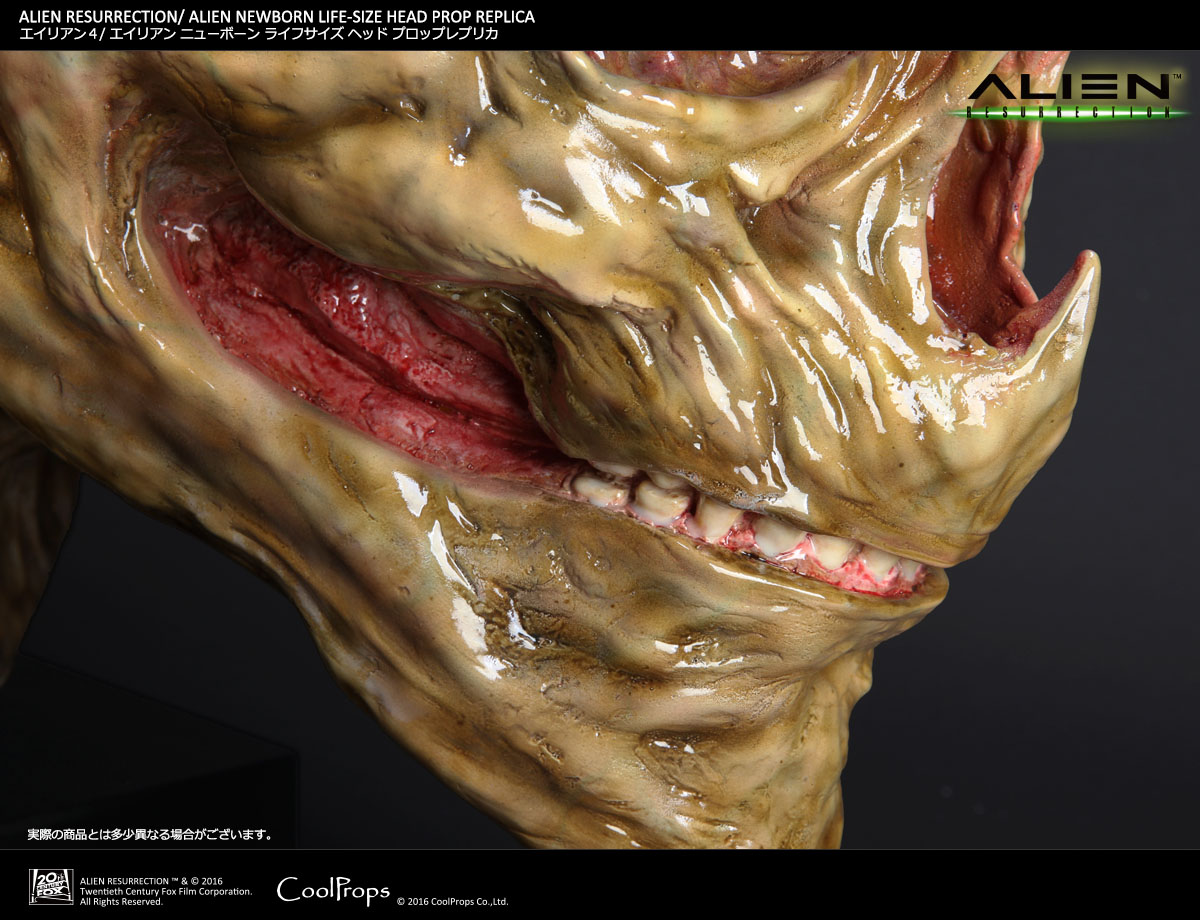 Alien: Resurrection - Alien Newborn - Bust - Prop Replica - 1/1 (CoolProps) photo 4