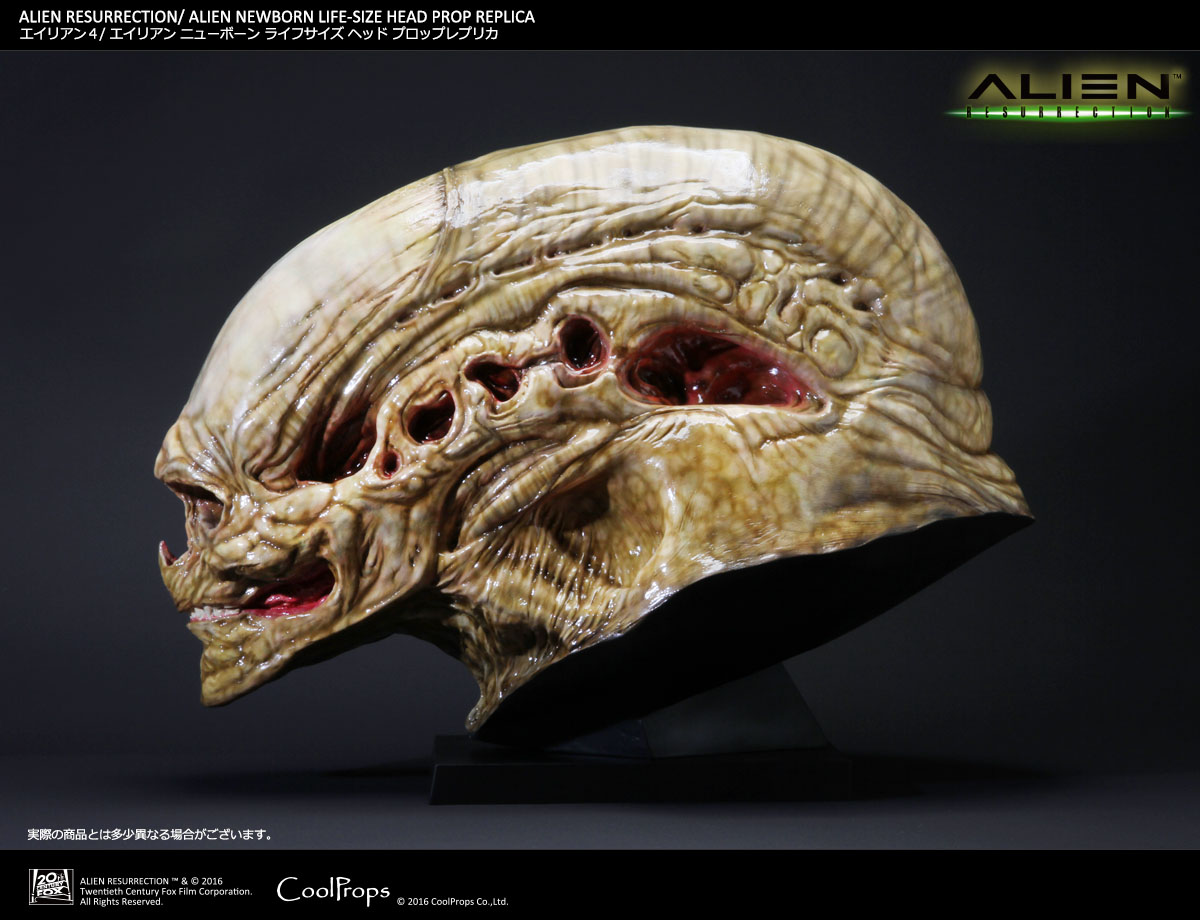 Alien: Resurrection - Alien Newborn - Bust - Prop Replica - 1/1 (CoolProps) photo 5