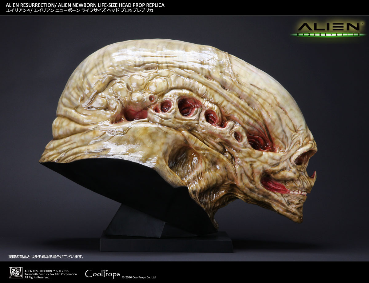 Alien: Resurrection - Alien Newborn - Bust - Prop Replica - 1/1 (CoolProps) photo 7