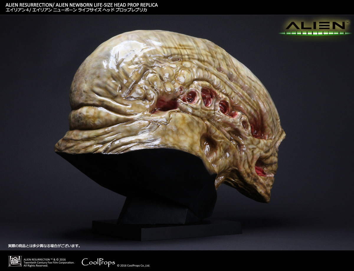 Alien: Resurrection - Alien Newborn - Bust - Prop Replica - 1/1 (CoolProps) photo 8