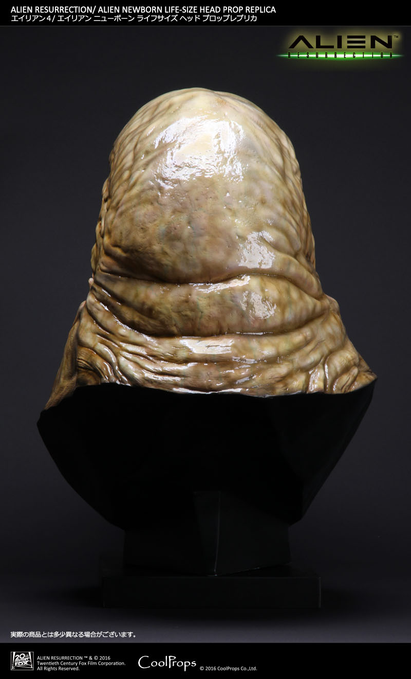 Alien: Resurrection - Alien Newborn - Bust - Prop Replica - 1/1 (CoolProps) photo 9