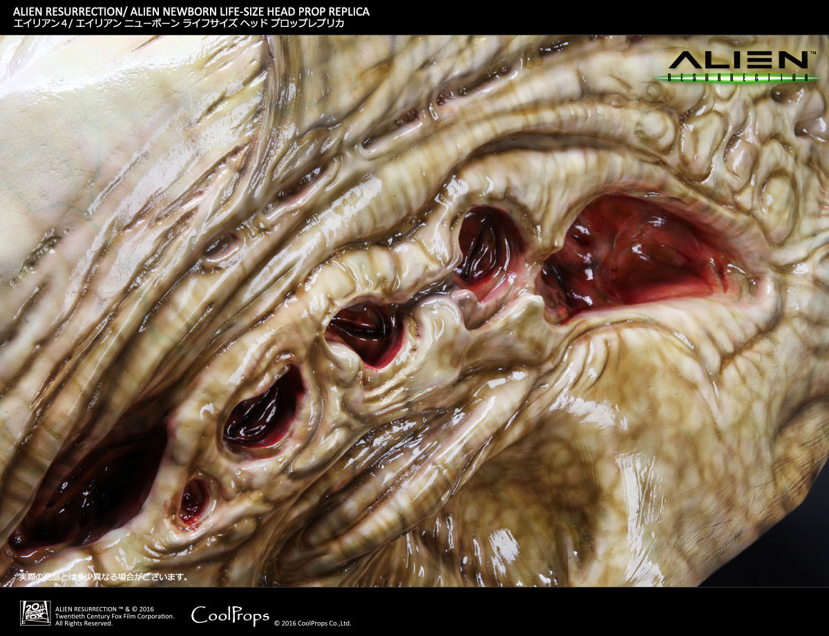 Alien: Resurrection - Alien Newborn - Bust - Prop Replica - 1/1 (CoolProps) photo 10