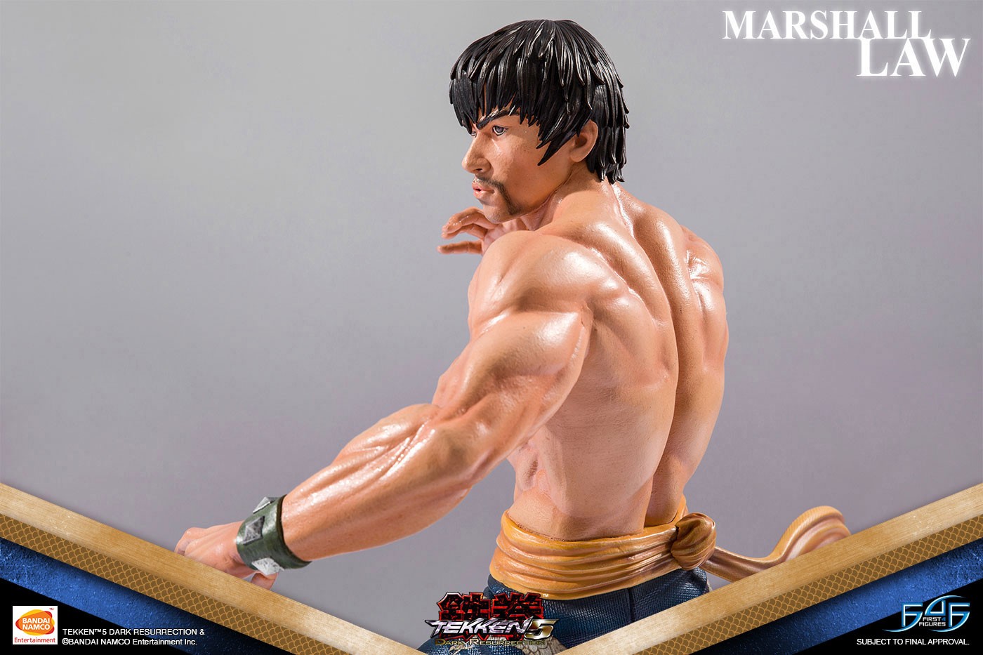 Tekken 5: Dark Resurrection - Marshall Law - 1/4 - Regular Edition (First 4 Figures) photo 7