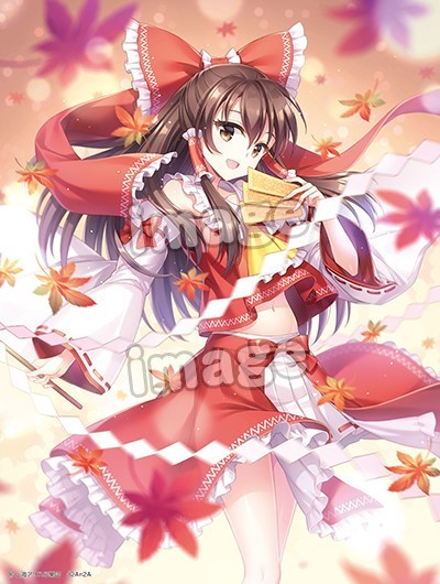 Touhou Project - Hakurei Reimu - B-style - 1/4 (FREEing) photo 2