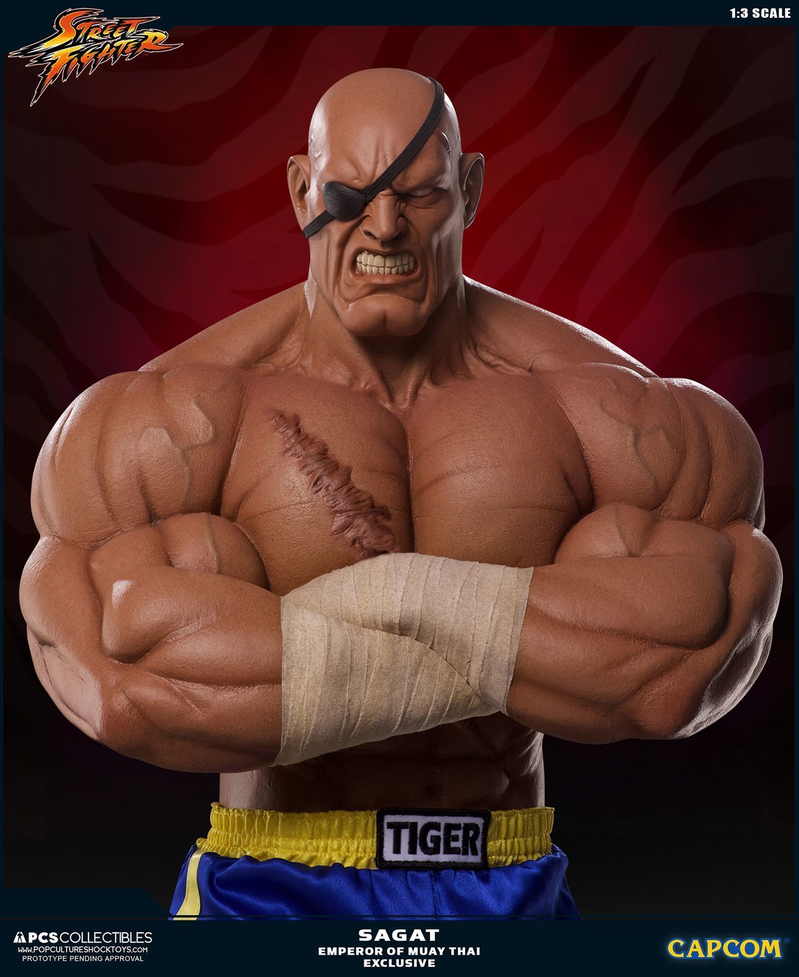 Street Fighter II - Sagat - Mixed Media - 1/3 - PCS Exclusive, Emperor of Muay Thai (Premium Collectibles Studio) photo 5