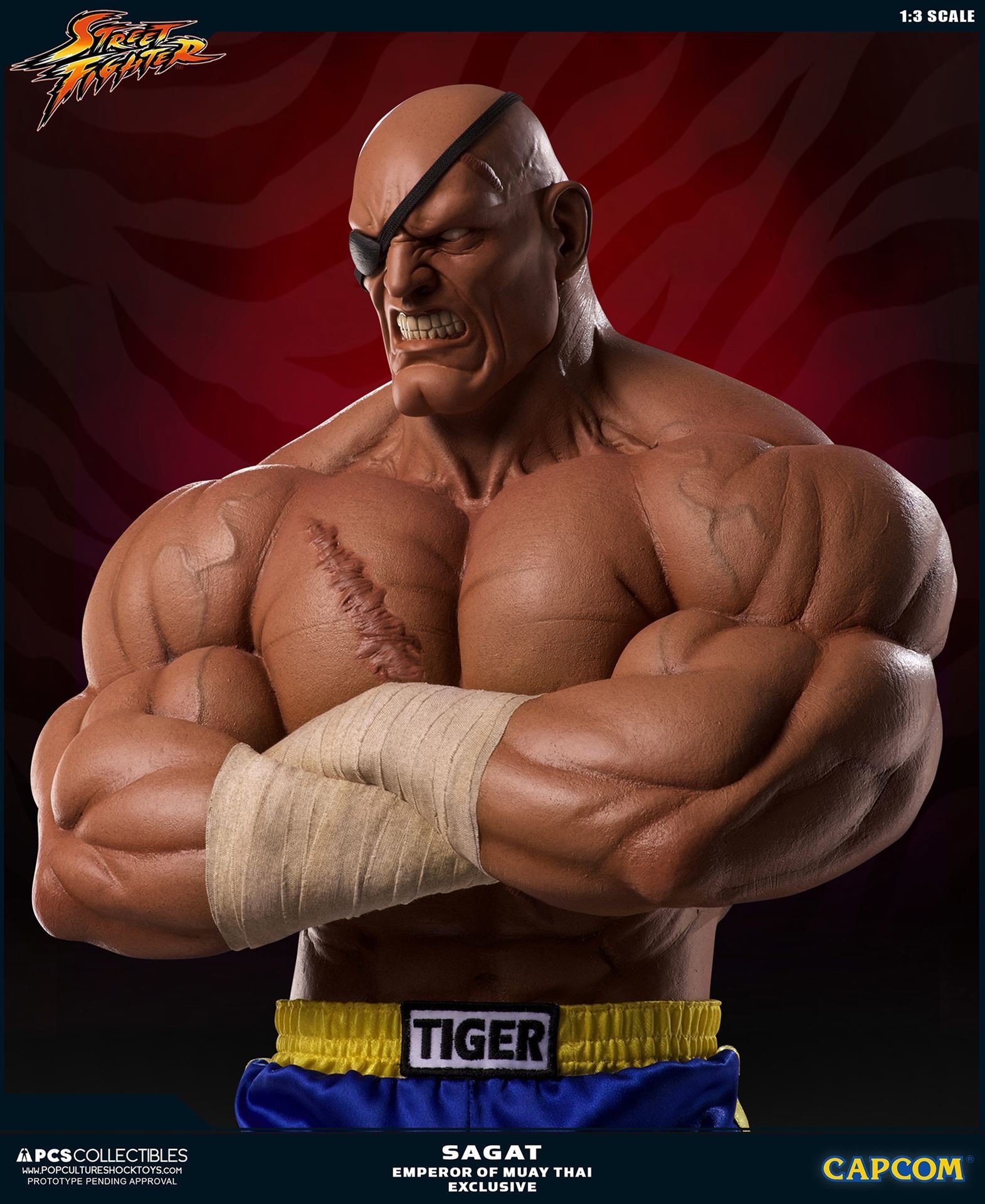 Street Fighter II - Sagat - Mixed Media - 1/3 - PCS Exclusive, Emperor of Muay Thai (Premium Collectibles Studio) photo 7