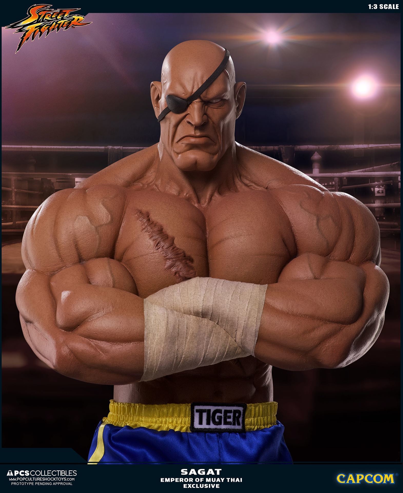 Street Fighter II - Sagat - Mixed Media - 1/3 - PCS Exclusive, Emperor of Muay Thai (Premium Collectibles Studio) photo 8