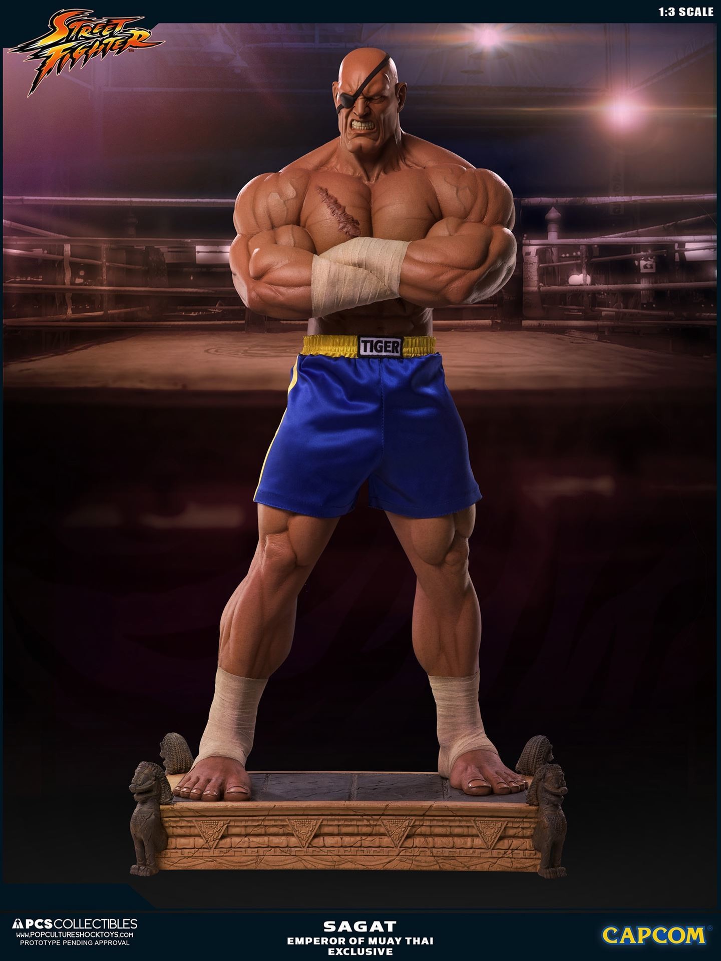 Street Fighter II - Sagat - Mixed Media - 1/3 - PCS Exclusive, Emperor of Muay Thai (Premium Collectibles Studio) photo 12
