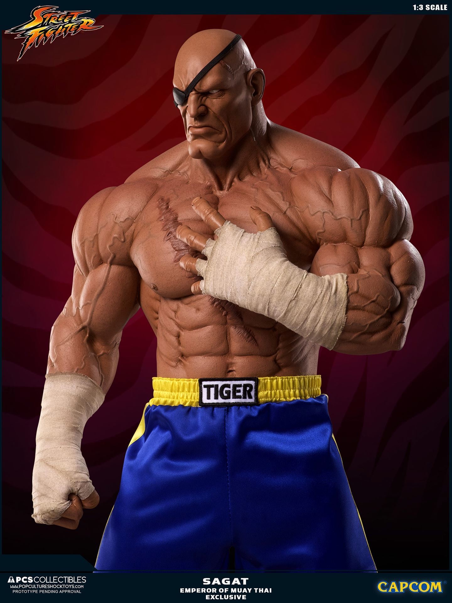 Street Fighter II - Sagat - Mixed Media - 1/3 - PCS Exclusive, Emperor of Muay Thai (Premium Collectibles Studio) photo 13