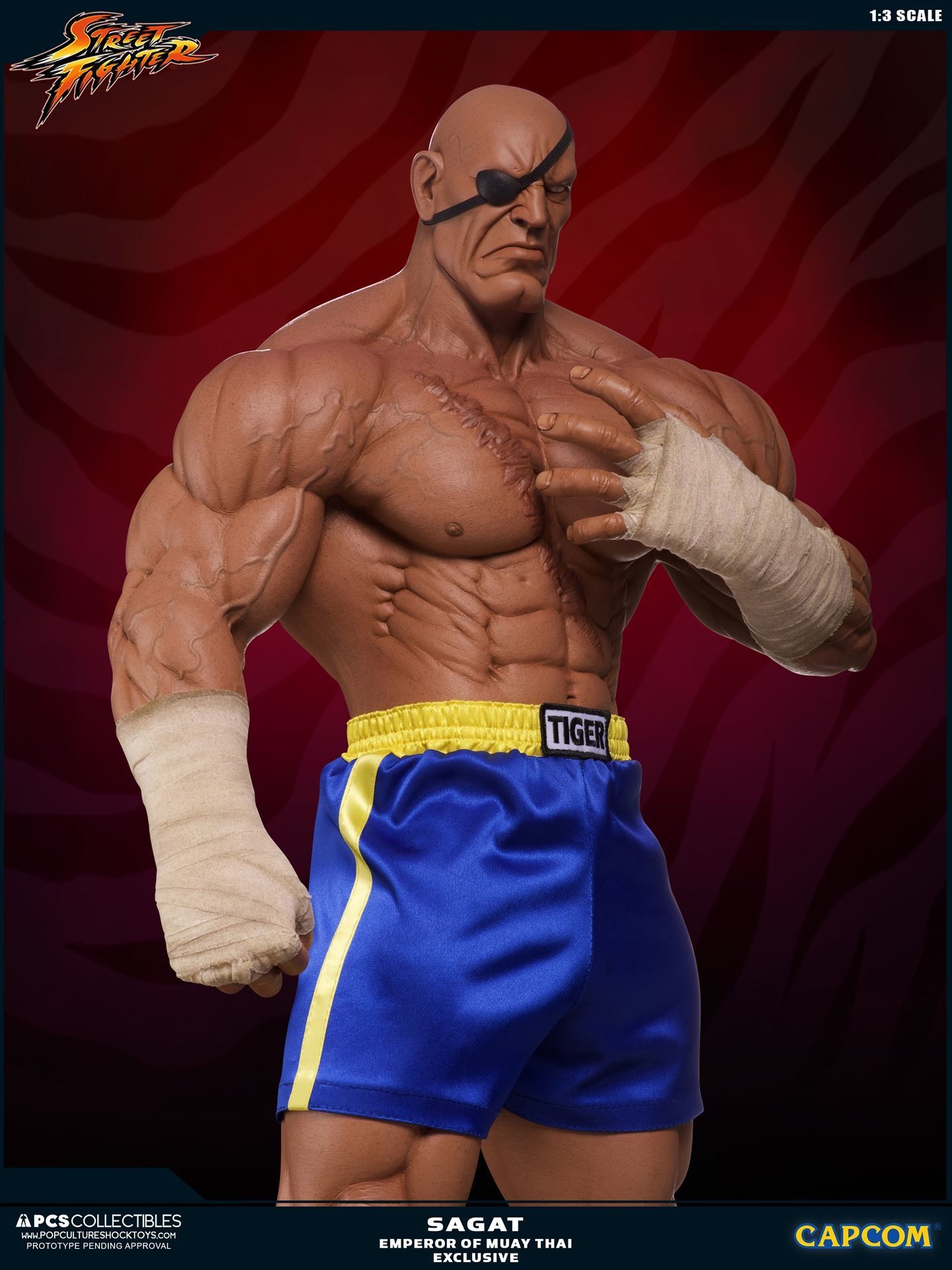 Street Fighter II - Sagat - Mixed Media - 1/3 - PCS Exclusive, Emperor of Muay Thai (Premium Collectibles Studio) photo 16