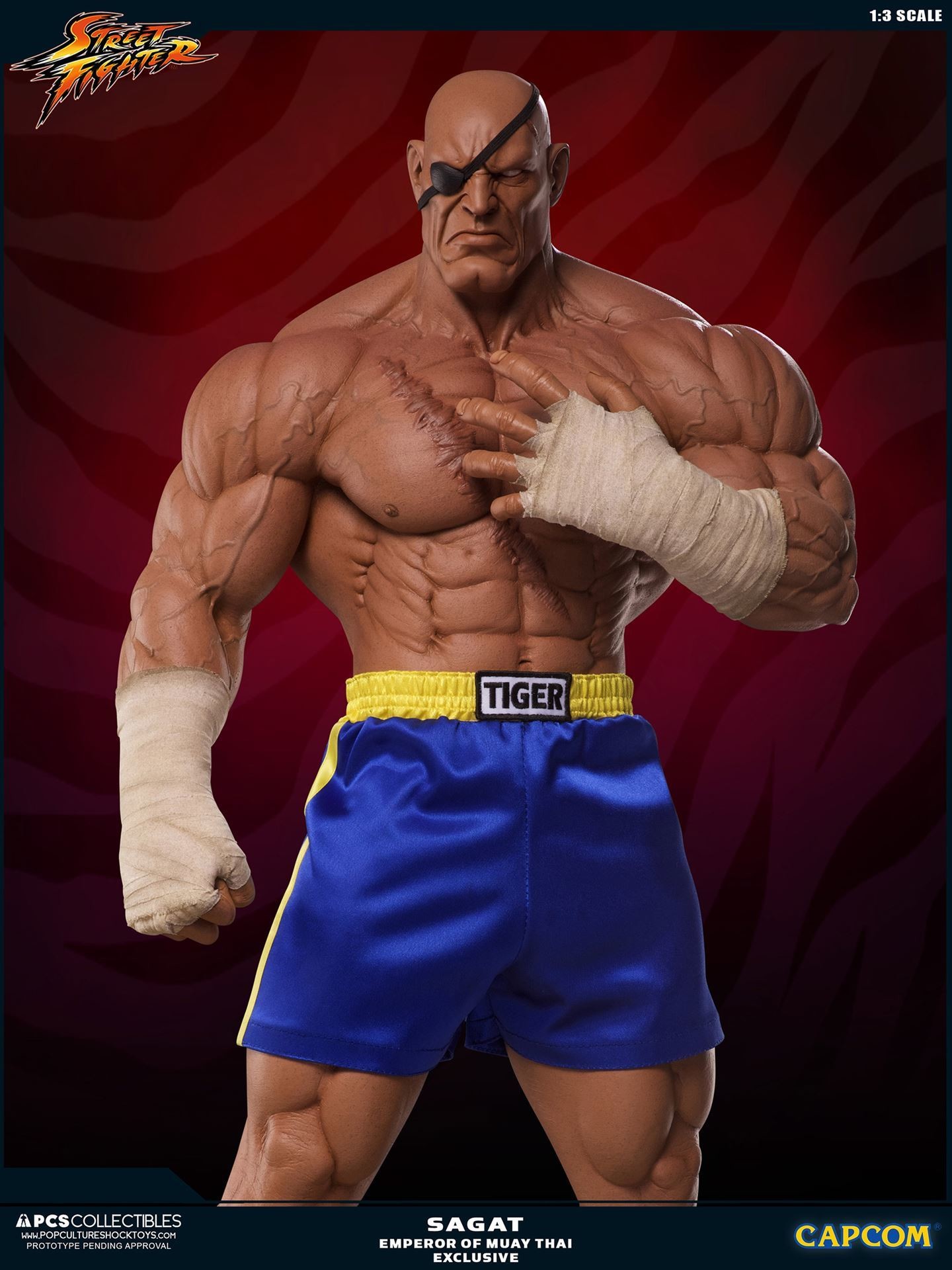 Street Fighter II - Sagat - Mixed Media - 1/3 - PCS Exclusive, Emperor of Muay Thai (Premium Collectibles Studio) photo 18