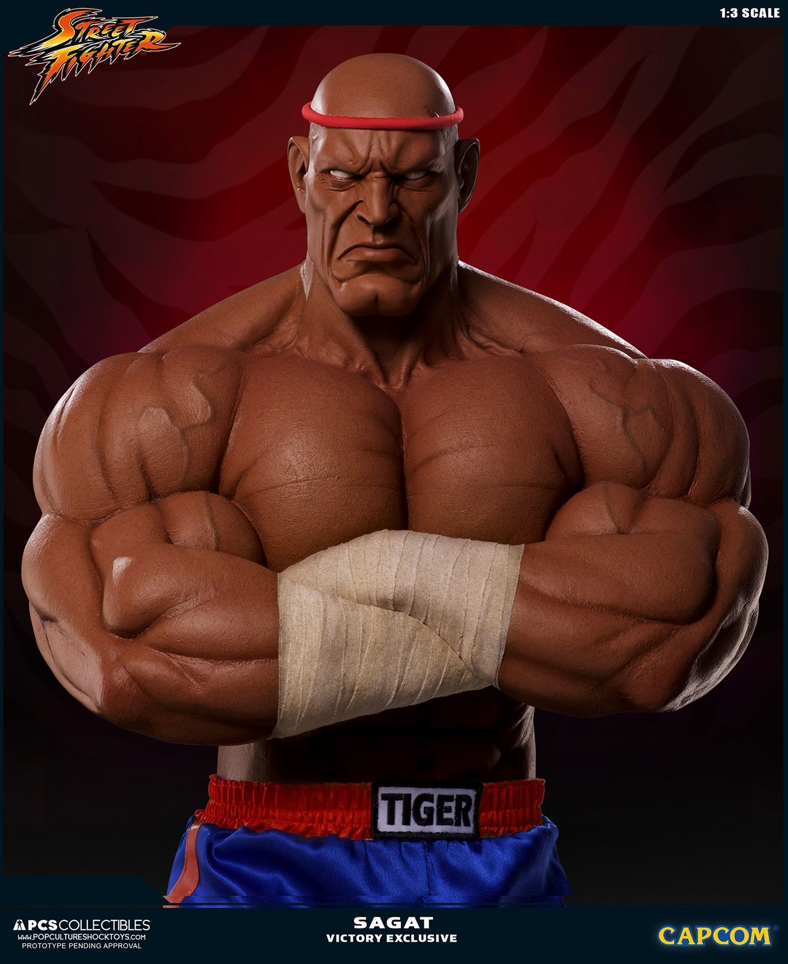 Street Fighter II V - Sagat - Mixed Media - 1/3 - PCS Exclusive, Victory (Premium Collectibles Studio) photo 3
