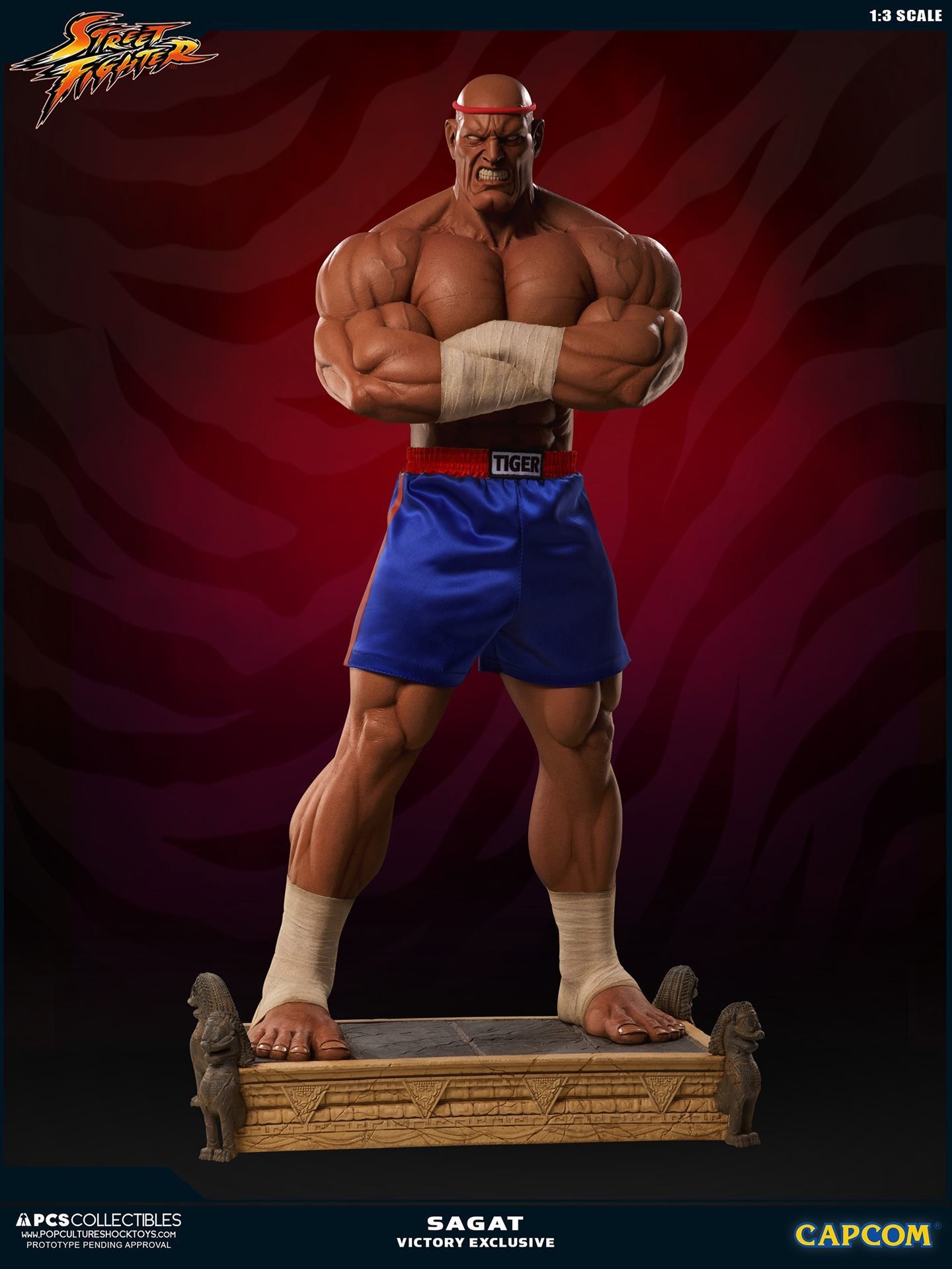 Street Fighter II V - Sagat - Mixed Media - 1/3 - PCS Exclusive, Victory (Premium Collectibles Studio) photo 4
